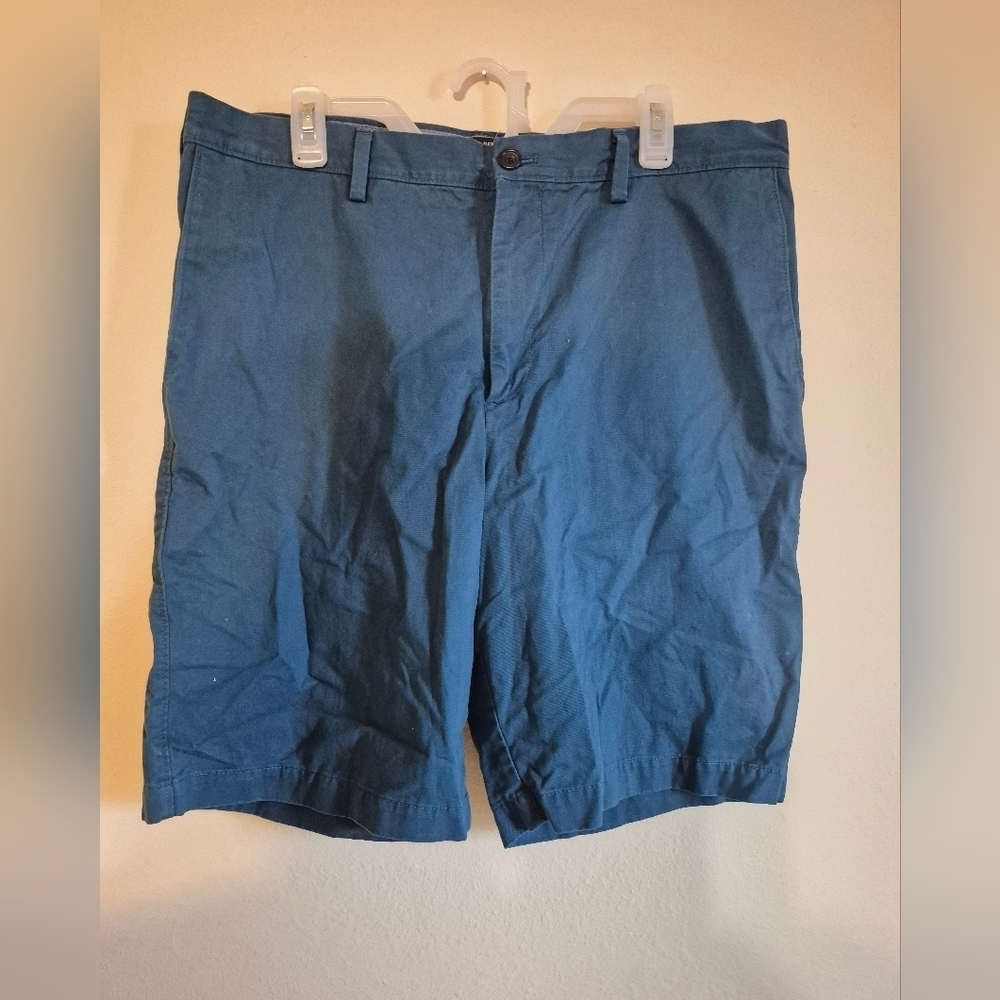 Banana Republic Blue Flat Front Shorts